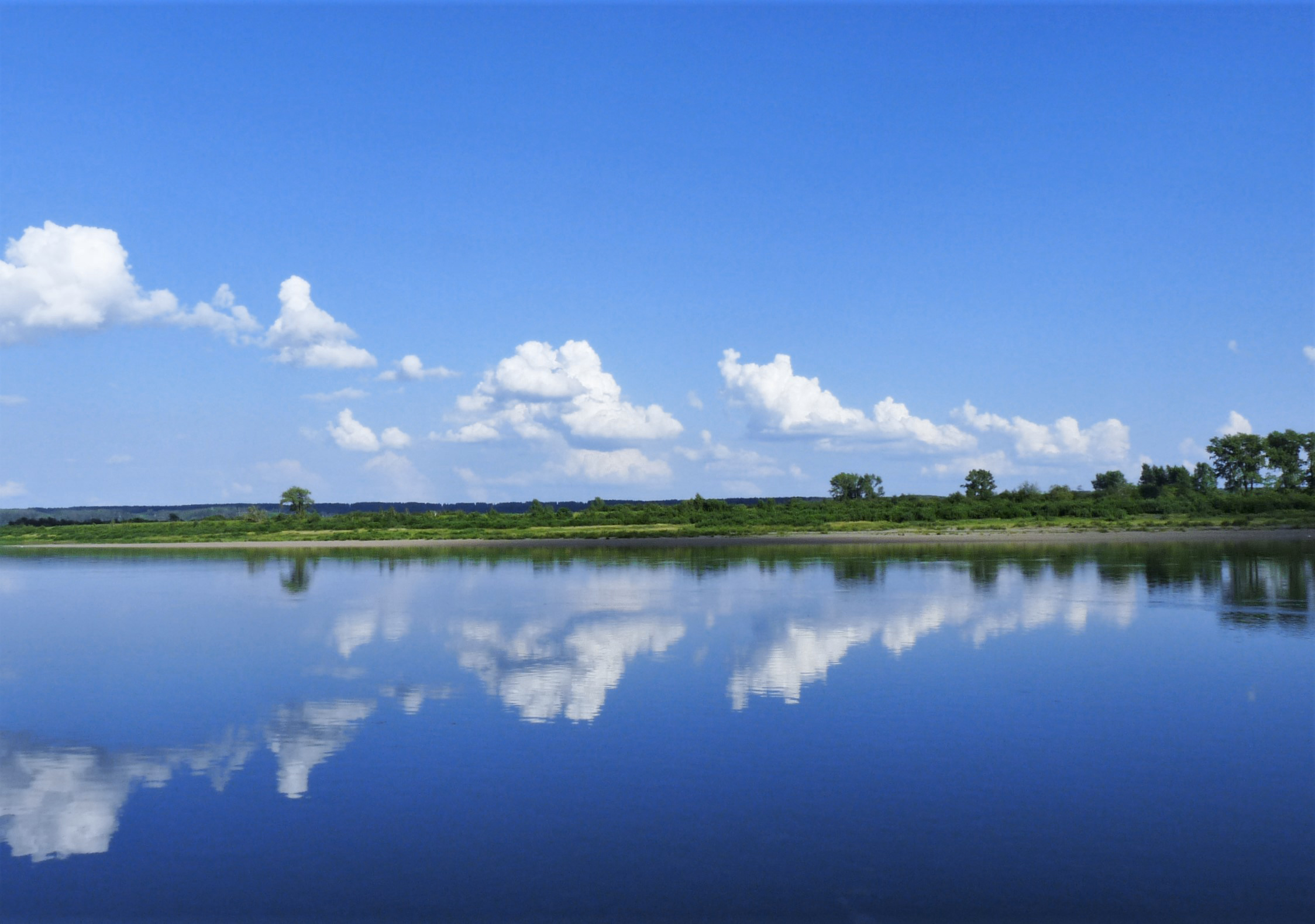 Всемирный день водных ресурсов