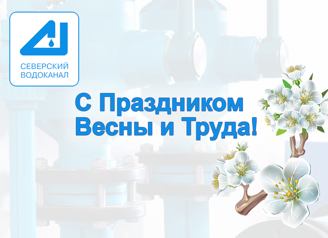 Дорогие северчане!